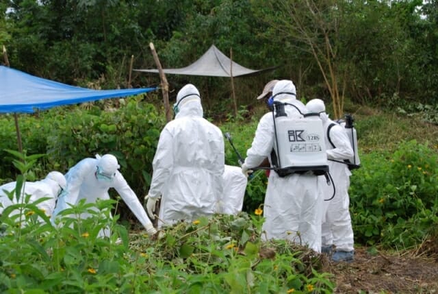 ebola_pic ebola_pic