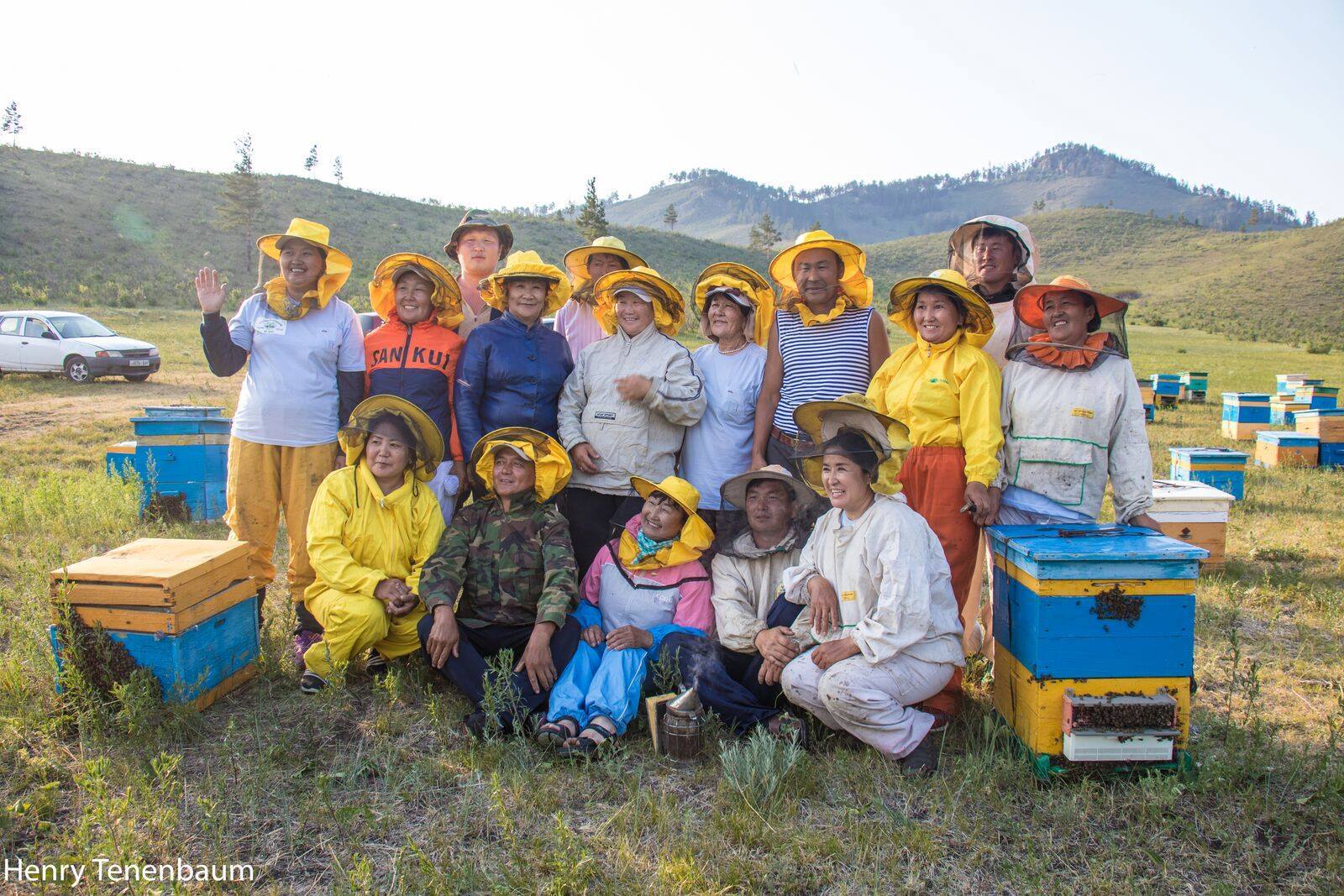 bees mongolia bees mongolia