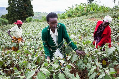 rwanda-coop rwanda-coop