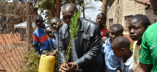nairobi-schools-continue-to-grow-from-green-apple-day-of-service-_0