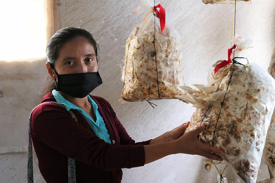 stories-leading-guatemala-mid-new stories-leading-guatemala-mid-new