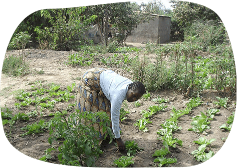 stories-zambiam-hp stories-zambiam-hp