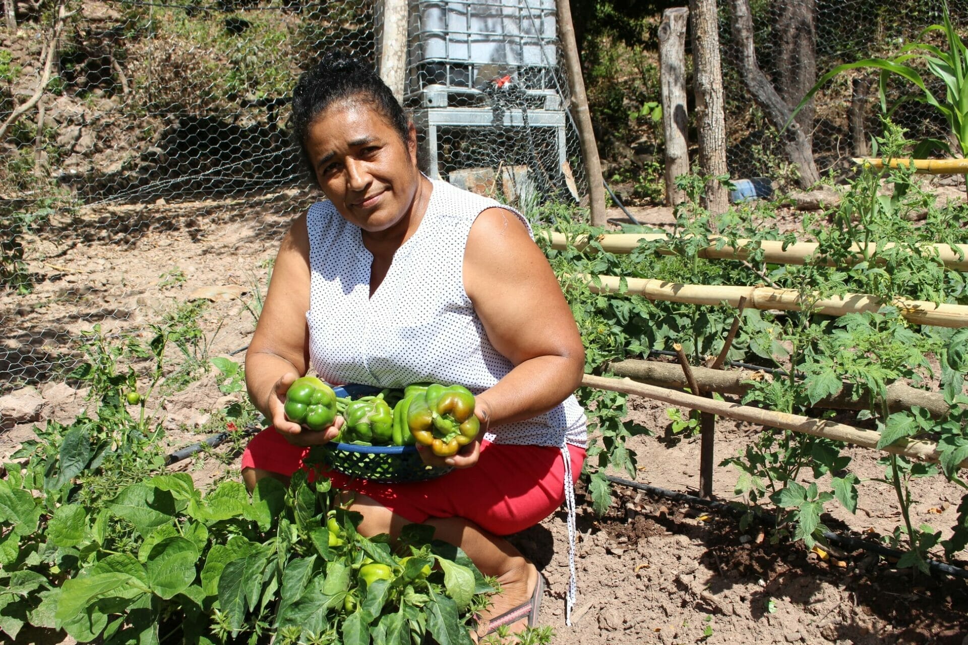 honduras1