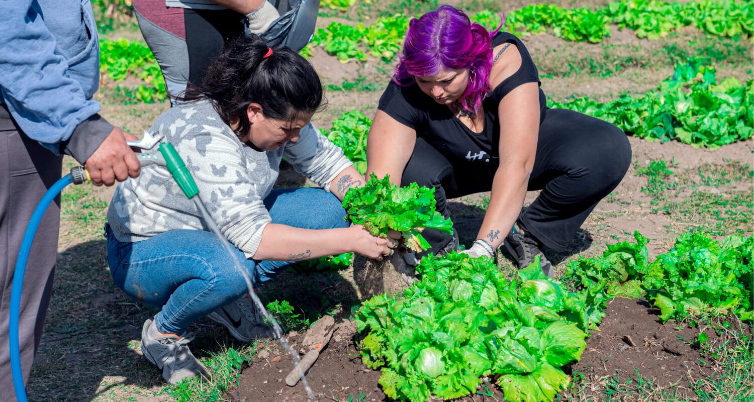 Food Security Argentina