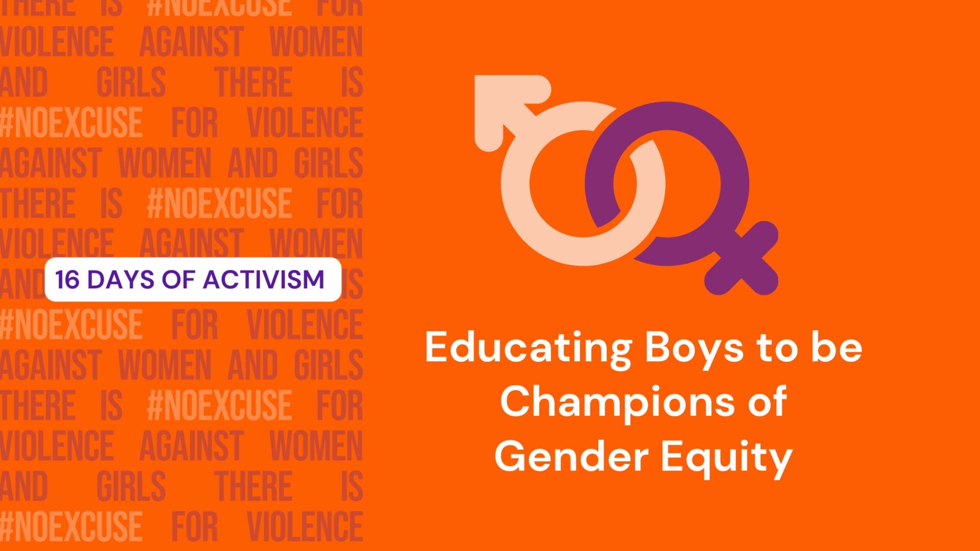 16 Days of Activism -Educating Boys to be Champions of Gender Equity