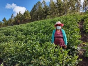 Toribia standing on her farm surrounded by plants.