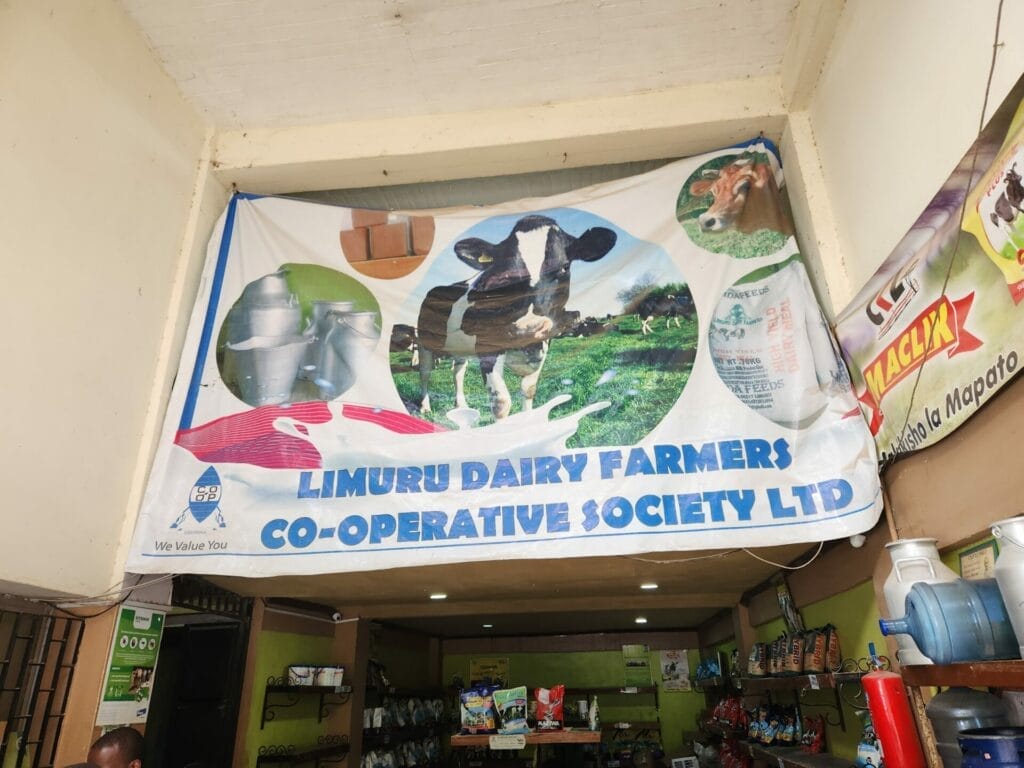 Dairy farmer cooperative in Kenya