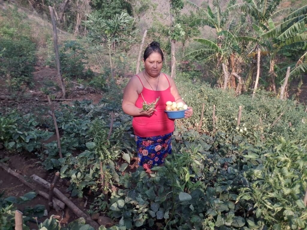 María harvesting produce in her family garden.